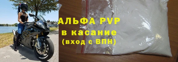 прущие грибы Богданович