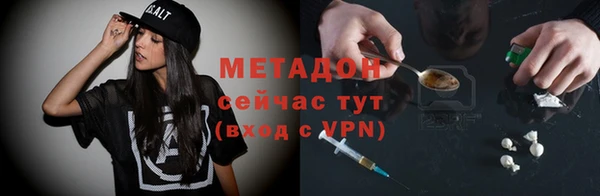 прущие грибы Богданович