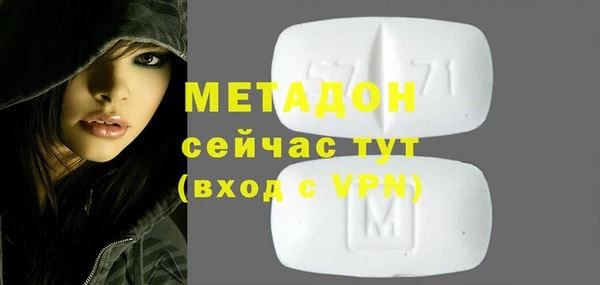 прущие грибы Богданович