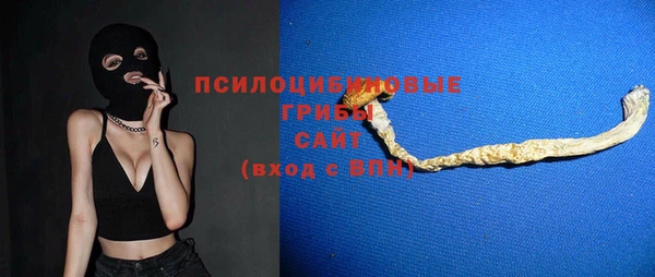 прущие грибы Богданович
