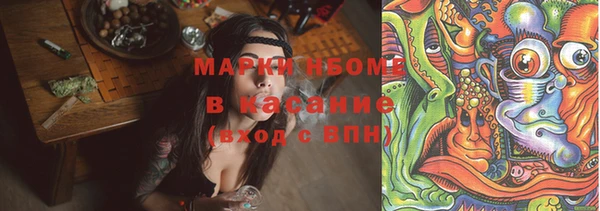 СК Бронницы