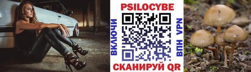 Галлюциногенные грибы Psilocybe  Вельск 